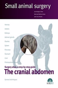 Canial Abdomen : Small Animal Surgery