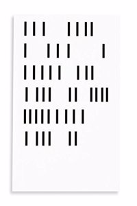 Andres Ramirez Gaviria: Between Forms of Representation and Interpretation