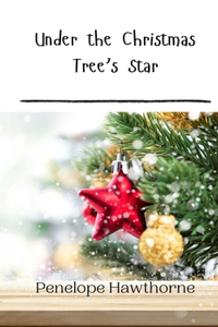 Under the Christmas Tree's Star