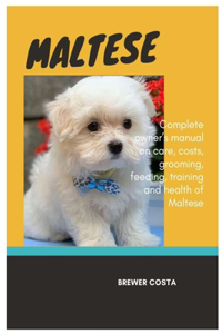 Maltese