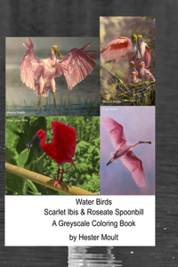 Water Birds - Scarlet Ibis & Roseate Spoonbill