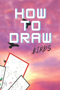 How to Draw Birds