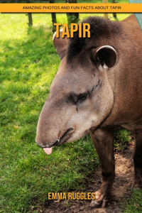 Tapir