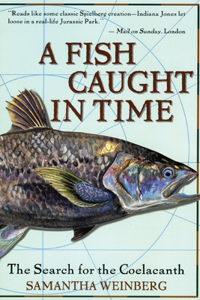 Fish Caught in Time