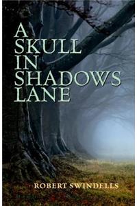 Rollercoasters: A Skull in Shadows Lane Class Pack