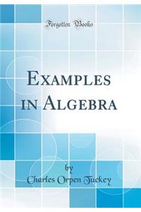 Examples in Algebra (Classic Reprint)