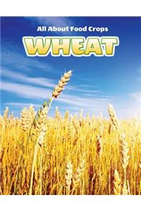 Wheat