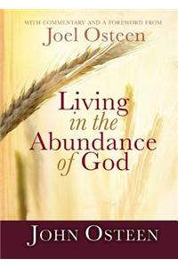 Living in the Abundance of God