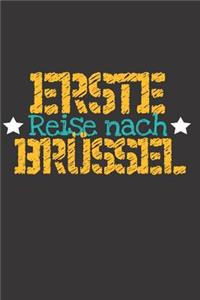 Erste Reise nach Brüssel