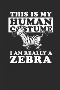 Zebra - This Is My Human Costume