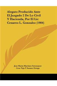Alegato Producido Ante El Juzgado 2 De Lo Civil Y Hacienda, Por El Lic Cesareo L. Gonzalez (1904)