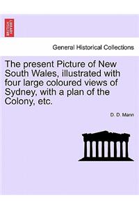 Present Picture of New South Wales, Illustrated with Four Large Coloured Views of Sydney, with a Plan of the Colony, Etc.