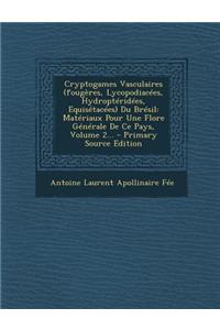 Cryptogames Vasculaires (fougères, Lycopodiacées, Hydroptéridées, Equisétacées) Du Brésil