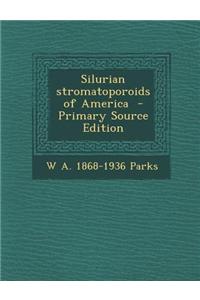 Silurian Stromatoporoids of America - Primary Source Edition