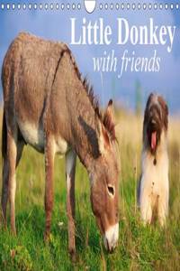 Little Donkey with Friends 2017