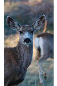 Kid's Petite Deer Journal