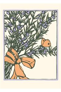 Rosemary Is for Remembrance (Boxed)