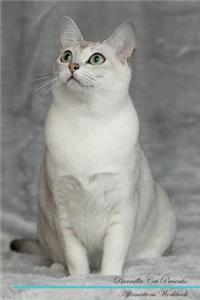 Burmilla Cat Affirmations Workbook Burmilla Cat Presents