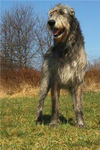 The Irish Wolfhound Dog Journal