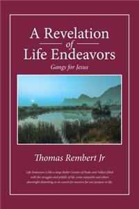 Revelation of Life Endeavors