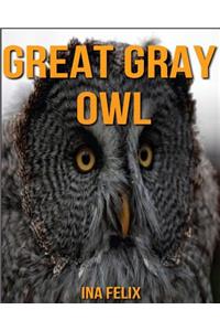 Great Gray Owl