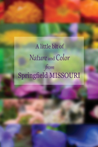 A Little Bit of Nature and Color from Springfield Missouri