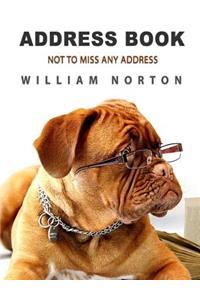 Address Book 