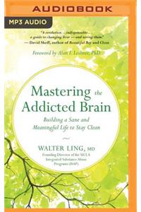 Mastering the Addicted Brain