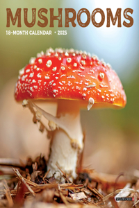 Mushrooms 2025 7 X 7 Mini Wall Calendar