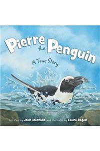 Pierre the Penguin