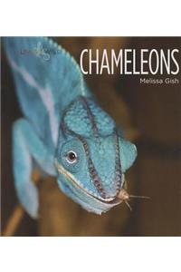 Chameleons