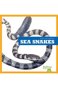 Sea Snakes