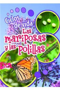 Ciclos de Vida de Las Mariposas y Las Polillas (Butterflies and Moths)
