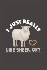 I Just Really Like Sheep, Ok?