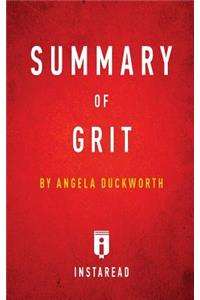 Summary of Grit