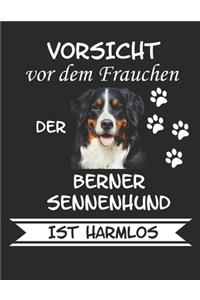 Vorsicht vor dem Frauchen der Berner Sennenhund ist Harmlos