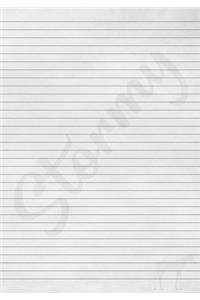 Stormy Horse Journal