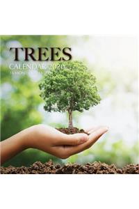 Trees Calendar 2020