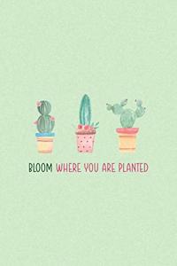 Bloom Where You Are Planted