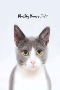 Monthly Planner 2020