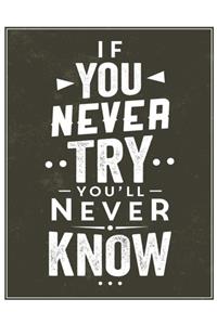 If You Never Try You'll Never Know