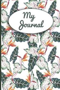 My Journal