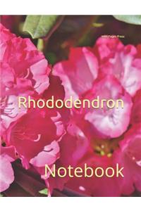 Rhododendron