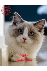 Ragdoll Sketchbook