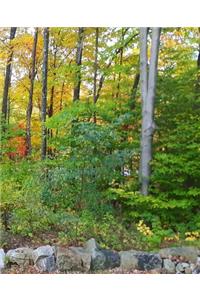 School Composition Book Pretty Autumn Landscape 130 Pages
