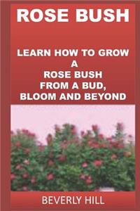Rose Bush