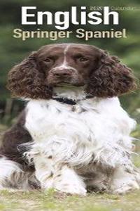 English Springer Spaniel Slim Calendar 2020