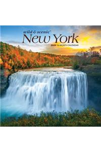 New York Wild & Scenic 2020 Mini 7x7