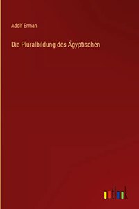 Die Pluralbildung des Ägyptischen
