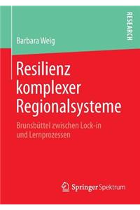 Resilienz komplexer Regionalsysteme